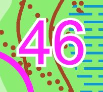 46.jpg