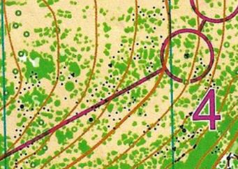 Zone ouverte.JPG